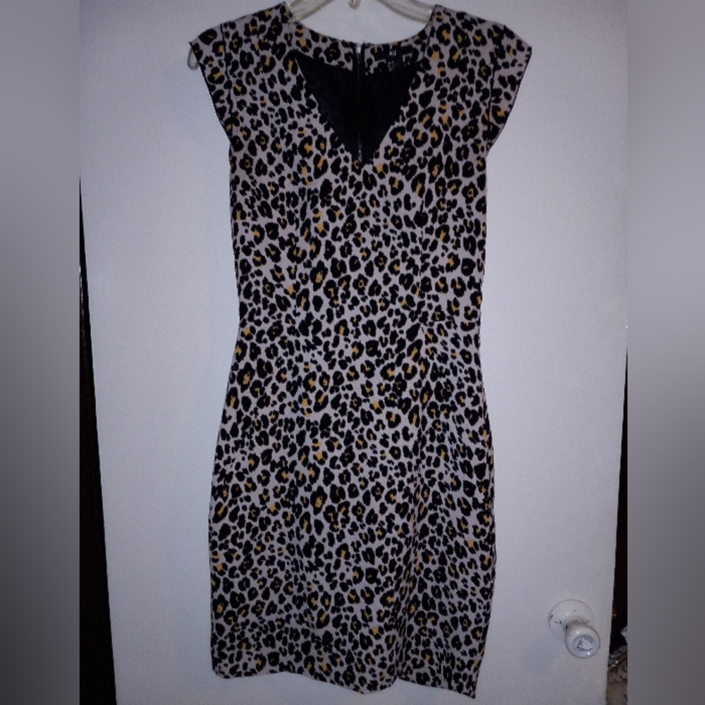 H&M Cheetah Print Dress